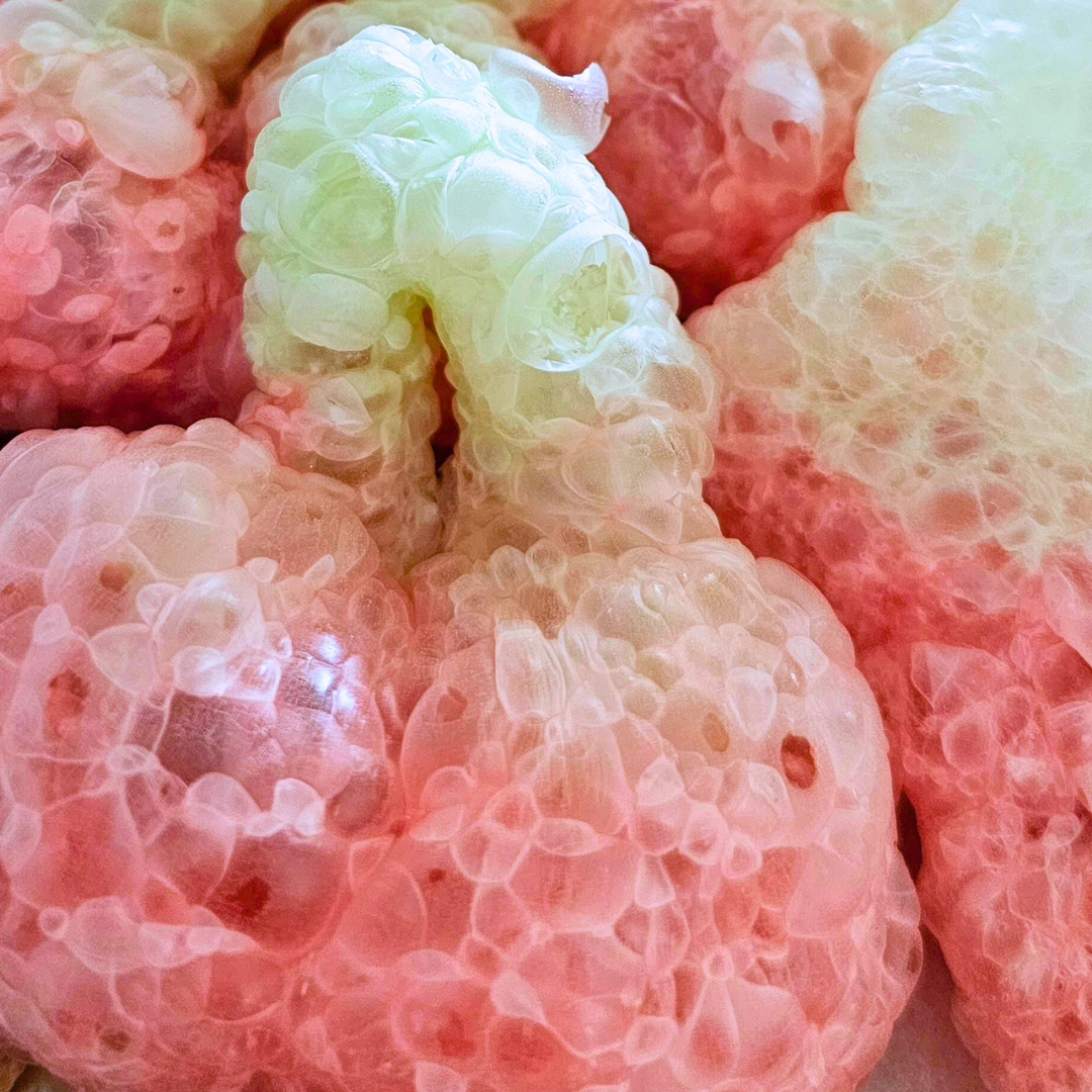 Freeze-Dried Cherry Lollies ππ¬